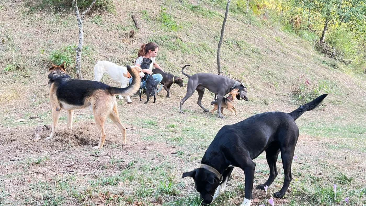 Our Forest – Where Every Rescued Life Matters