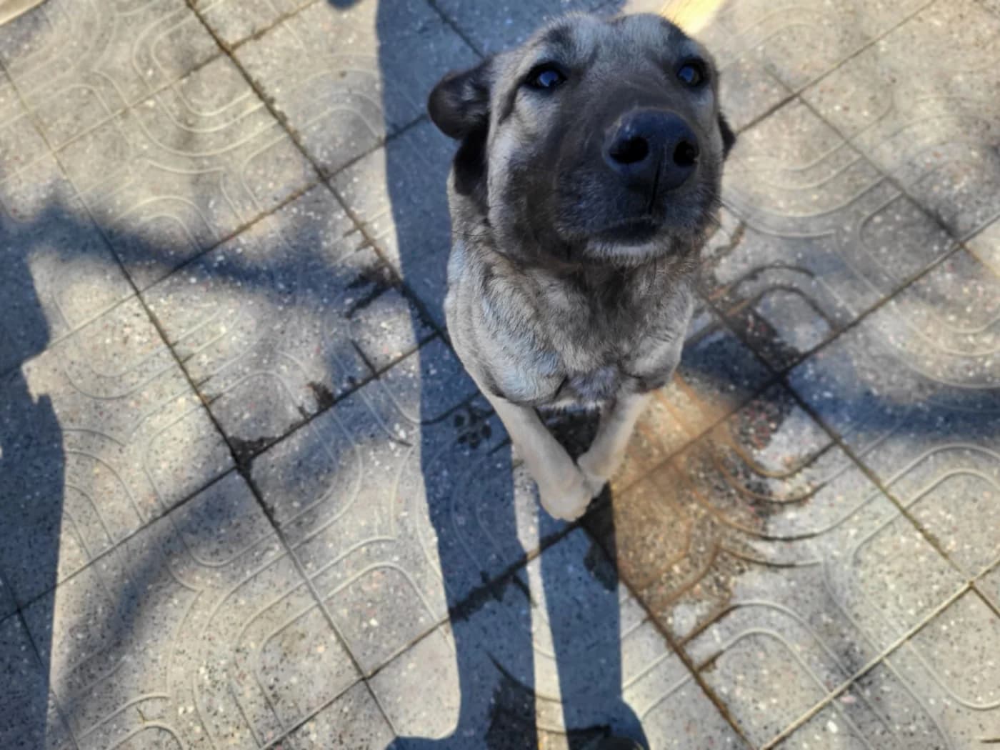 Coco