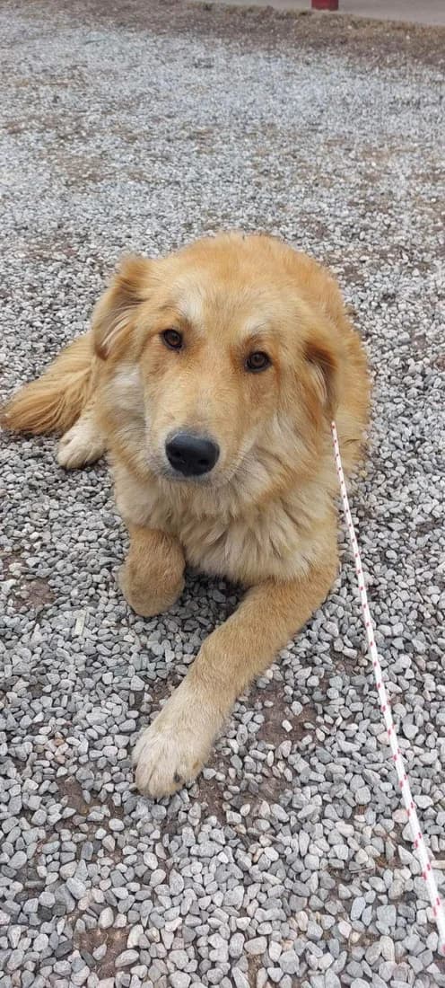 Milo