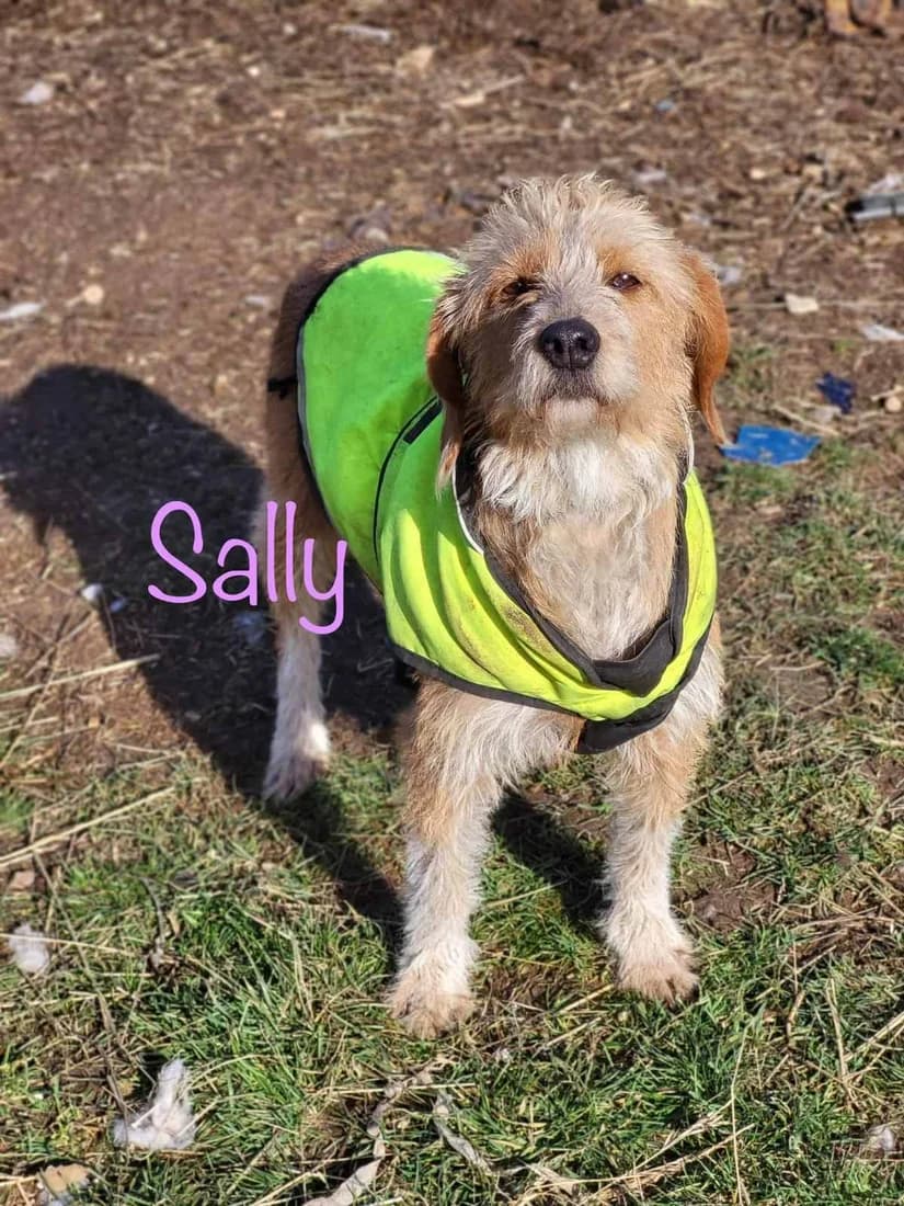 Sally